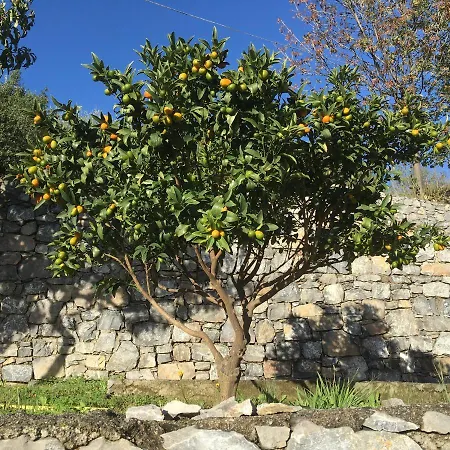 Alojamento de Acomodação e Pequeno-almoço A Casa Di Luli Toirano