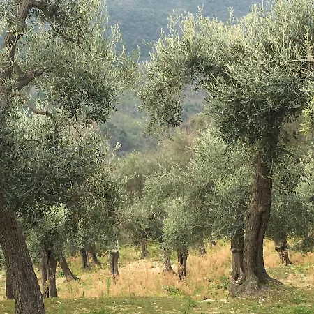 Bed & Breakfast A Casa Di Luli