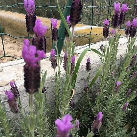 A Casa Di Luli